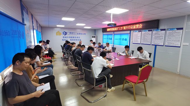 分公司党支部书记、副总经理胡海云深入牛湾岛项目宣贯《“三力”提升行动》；菩奘 摄修图）.jpg